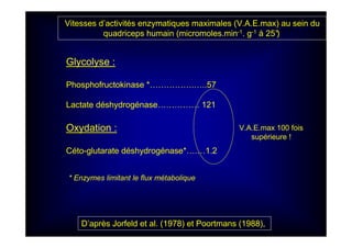 Vitesses d’activités enzymatiques maximales (V.A.E.max) au sein du
quadriceps humain (micromoles.min-1. g-1 à 25°)
Glycolyse :
Phosphofructokinase *…………….…..57
Lactate déshydrogénase…………… 121
Oxydation :
Céto-glutarate déshydrogénase*….…1.2
* Enzymes limitant le flux métabolique
D’après Jorfeld et al. (1978) et Poortmans (1988),
V.A.E.max 100 fois
supérieure !
 