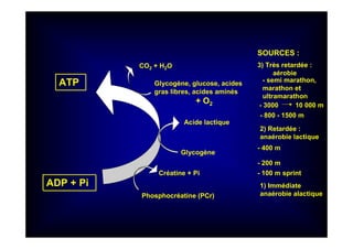 ATP
ADP + Pi
Glycogène, glucose, acides
gras libres, acides aminés
+ O2
Créatine + Pi
Phosphocréatine (PCr)
1) Immédiate
anaérobie alactique
SOURCES :
CO2 + H2O
Glycogène
Acide lactique
2) Retardée :
anaérobie lactique
3) Très retardée :
aérobie
- 100 m sprint
- 200 m
- 400 m
- 800 - 1500 m
- 3000 10 000 m
- semi marathon,
marathon et
ultramarathon
 