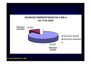 SOURCES ENERGETIQUES DU 5 000 m
(en % du total)
87,50%
12,50%
Glycolyse aérobie
Glycolyse anaérobie
Glycolyse
anaérobie
Glycolyse
aérobie
D ’après Newsholme, 1988
 