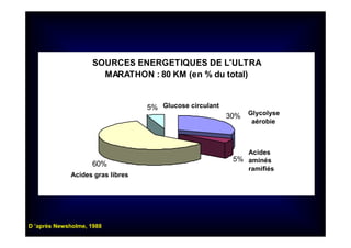 SOURCES ENERGETIQUES DE L'ULTRA
MARATHON : 80 KM (en % du total)
30%
5%
60%
5%
1
2
3
4
Glycolyse
aérobie
Acides
aminés
ramifiés
Glucose circulant
Acides gras libres
D ’après Newsholme, 1988
 