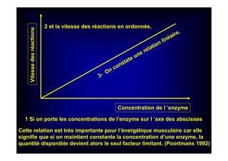 Vitessedesréactions
Concentration de l ’enzyme
Cette relation est très importante pour l’énergétique musculaire car elle
signifie que si on maintient constante la concentration d’une enzyme, la
quantité disponible devient alors le seul facteur limitant. (Poortmans 1992)
1 Si on porte les concentrations de l’enzyme sur l ’axe des abscisses
2 et la vitesse des réactions en ordonnée,
3- On constate une relation linéaire.
 