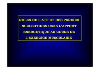 ROLES DE L’ATP ET DES PURINES
NUCLEOTIDES DANS L’APPORT
ENERGETIQUE AU COURS DE
L’EXERCICE MUSCULAIRE
 