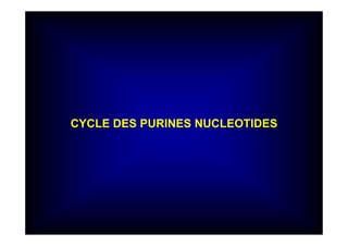 CYCLE DES PURINES NUCLEOTIDES
 