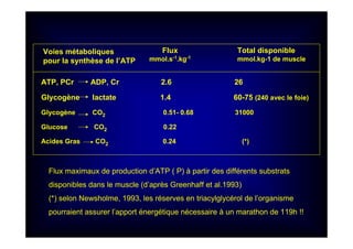 Voies métaboliques
pour la synthèse de l’ATP
Flux
mmol.s-1.kg-1
Total disponible
mmol.kg-1 de muscle
ATP, PCr ADP, Cr 2.6 26
Glycogène lactate 1.4 60-75 (240 avec le foie)
Glycogène CO2 0.51- 0.68 31000
Glucose CO2 0.22
Acides Gras CO2 0.24 (*)
Flux maximaux de production d’ATP ( P) à partir des différents substrats
disponibles dans le muscle (d’après Greenhaff et al.1993)
(*) selon Newsholme, 1993, les réserves en triacylglycérol de l’organisme
pourraient assurer l’apport énergétique nécessaire à un marathon de 119h !!
 