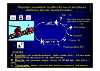 ATP
ADP + Pi
Créatine + Pi
Phosphorylcréatine (PCr)
Rappel des caractéristique des différentes sources énergétiques
sollicitées au cours de l’exercice musculaire.
SOURCES
1) Immédiate : ou « anaérobie alactique » : Sprints courts : départ…10 à 30 m, sauts
et tout exercice très court ( 1 à 4 - 5s ) et très intense.
Glycogène
Acide lactique
2) Retardée : ou « anaérobie lactique » : 60, 80, 100, 200, 400, 800, 1500m (6-7s à 2-
3min)
++
=
CO2 + H2O
3) Très retardée : aérobie : 5-10000m, semi marathon, marathon et ultra marathon
Glycogène, glucose, acides
gras libres, acides aminés
+ O2
 