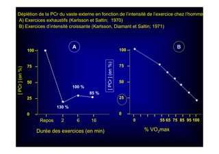 100 –
75 –
50 –
25 –
0 –I I I I
Repos 2 6 16
••
•
•
130 %
100 %
85 %
[PCr](en%)
[PCr](en%)
•
•
•
•
•
•
•
I I I I I I I I I I
0 55 65 75 85 95 100
Durée des exercices (en min) % VO2max
Déplétion de la PCr du vaste externe en fonction de l’intensité de l’exercice chez l’homme
A) Exercices exhaustifs (Karlsson et Saltin; 1970)
B) Exercices d’intensité croissante (Karlsson, Diamant et Saltin; 1971)
A B
100 –
75 –
50 –
25 –
0 –
 