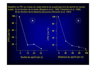 100 –
80 –
60 –
40 –
20 –
I I I I
0 10 20 30
•
••
•
[PCr](en%)
•
••
•
•
I I I I I
0 40 60 80 100
A B
Durée du sprint (en s) Distance du sprint (en m)
Déplétion en PCr au niveau du vaste externe du quadriceps lors de sprints en course
à pied : A) en fonction de la durée (Bogdanis et al., 1998; Cheetham et al. 1986).
B) en fonction de la distance parcourue (Hirvonen et al. 1987)
[PCr](en%)
100 –
80 –
60 –
40 –
20 –
 