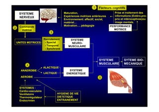 SYSTEME
NERVEUX
UNITES MOTRICES
SYSTEME
NEURO-
MUSCULAIRE
SYSTEME
ENERGETIQUE
ANAEROBIE
AEROBIE
ALACTIQUE
LACTIQUE
PERFORMANCE
MOTRICE
Maturation,
Expériences motrices antérieures
Environnement: affectif, social,
matériel…
Motivation…. pédagogie
SYSTEMES :
Cardio-vasculaire
Ventilatoire
Thermorégulateur
Endocrinien
HYGIENE DE VIE
DIETETIQUE
ENTRAINEMENT
1
2 Commande
motrice
3
5
4
Prise et traitement des
informations (Extéro,pro-
prio et intéroceptives)ou
image mentale.
Facteurs cognitifs
Recrutement
- Spacial
- Temporel
- Synchrone
SYSTEME
MUSCULAIRE
SYTEME BIO-
MECANIQUE
 