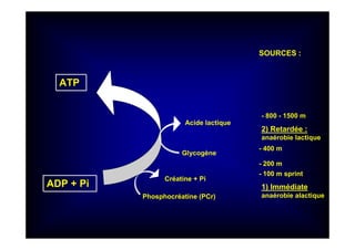ATP
ADP + Pi
Créatine + Pi
Phosphocréatine (PCr)
1) Immédiate
anaérobie alactique
SOURCES :
Glycogène
Acide lactique
2) Retardée :
anaérobie lactique
- 100 m sprint
- 200 m
- 400 m
- 800 - 1500 m
 