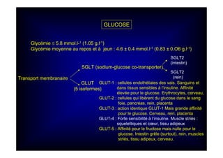 Glycémie ≤ 5.8 mmol.l-1 (1.05 g.l-1)
Glycémie moyenne au repos et à jeun : 4.6 ± 0.4 mmol.l-1 (0.83 ± 0.O6 g.l-1)
Transport membranaire
GLUCOSE
SGLT (sodium-glucose co-transporter)
SGLT2
(rein)
SGLT2
(intestin)
GLUT
(5 isoformes)
GLUT-1 : cellules endothéliales des vais. Sanguins et
dans tissus sensibles à l’insuline. Affinité
élevée pour le glucose. Erythrocytes, cerveau,
GLUT-2 : cellules qui libèrent du glucose dans le sang
foie, pancréas, rein, placenta
GLUT-3 : action identique GLUT-1 Mais grande affinité
pour le glucose. Cerveau, rein, placenta
GLUT-4 : Forte sensibilité à l’insuline. Muscle striés :
squelettiques et cœur, tissu adipeux
GLUT-5 : Affinité pour le fructose mais nulle pour le
glucose. Intestin grêle (surtout), rein, muscles
striés, tissu adipeux, cerveau.
 