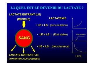 2.3 QUEL EST LE DEVENIR DU LACTATE ?
LACTATE ENTRANT (LE)
(MUSCLE)
SANGSANG
LACTATE SORTANT (LS)
( OXYDATION, GLYCOGENESE )
• LE > LS : (accumulation)
• LE = LS : (Etat stable) 6-8 mmol.l-1
• LE < LS : (décroissance)
1 H 30
LACTATEMIE
 