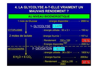 4. LA GLYCOLYSE A-T-ELLE VRAIMENT UN
MAUVAIS RENDEMENT ?
4. LA GLYCOLYSE A-T-ELLE VRAIMENT UN
MAUVAIS RENDEMENT ?
AU NIVEAU BIOENERGETIQUEAU NIVEAU BIOENERGETIQUE
1 mole de Glucose : énergie disponible : 2880 kJ1 mole de Glucose : énergie disponible : 2880 kJ
2 moles de lactate :énergie fournie : 197 kJ
CYTOPLASME
11-- GLYCOLYSEGLYCOLYSE
: énergie utilisée : 50 x 3 = 150 kJ
: Rendement 150 x 100
197: Energie disponible 2683 kJ
22-- OXYDATIONOXYDATION
: énergie utilisée : 36 x 50 = 1800 kJ
6 H2O + 6 CO2 : énergie fournie 2683kJ
: Rendement 1800 x 100
2683
MITOCHONDRIE
= 3 ATP= 3 ATP
= 36 ATP= 36 ATP
76 %
67 %
=
=
 