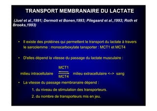 TRANSPORTTRANSPORT MEMBRANAIRE DU LACTATEDU LACTATE
• Il existe des protéines qui permettent le transport du lactate à travers
le sarcolemme : monocarboxylate tansporter : MCT1 et MCT4
• D'elles dépend la vitesse du passage du lactate musculaire :
milieu intracellulaire milieu extracellulaire <–> sang
• La vitesse du passage membranaire dépend :
1. du niveau de stimulation des transporteurs.
2. du nombre de transporteurs mis en jeu.
MCT1MCT1
MCT4MCT4
(Juel et al.,1991; Dermott et Bonen,1993; Pilegaard et al.,1993; Roth et
Brooks,1993)
 