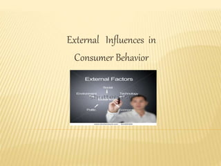 External Influences in
Consumer Behavior
 