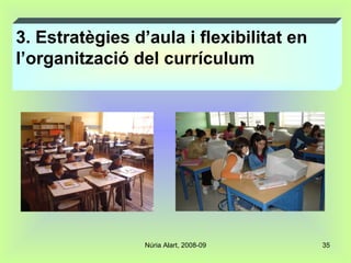 3. Estratègies d’aula i flexibilitat en  l’organització del currículum 