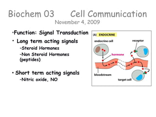 Biochem 03 Cell Communication
November 4, 2009
•Function: Signal Transduction
• Long term acting signals
–Steroid Hormones
–Non Steroid Hormones
(peptides)
• Short term acting signals
–Nitric oxide, NO
 