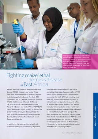 BecA-ILRI Hub 2015 Annual Report
(CoP) has been established with the aim of
combating the disease. Researchers from NARS
in the CoP are leading various components of
research at the BecA-ILRI Hub, including virus
detection in maize samples from Tanzania by
Fatma Hussein, an agricultural research officer
at Tengeru Horticultural Research and Training
Institute, Tanzania; studies on the evolutionary
relationships between isolates from across Kenya
by Francis Mwatuni, officer in charge of the
plant quarantine and biosecurity station, Kenya
Plant Health Inspectorate Service (KEPHIS); and
interactions between key proteins of the two
viruses causing the necrosis by Anne Ndanu, a
PhD student of biochemistry and biotechnology
at the Kenyatta University in Kenya.
Fightingmaizelethal
necrosisdisease
in EastAfrica
Reports of the fast spread of maize lethal necrosis
disease (MLND) in eastern and central Africa
have led to redoubled efforts to develop a regional
control strategy for the disease. The BecA-ILRI
Hub team is part of a regional consortium involving
KALRO, the University of Nairobi (UoN) and
the Association for Strengthening Agricultural
Research in Eastern and Central Africa (ASARECA)
that is developing a control strategy for MLND. The
consortium has already set the stage to develop
tools for MLND management in seven countries:
Burundi, Ethiopia, Kenya, Rwanda, South Sudan,
Tanzania and Uganda.
In addition to the regional effort, a BecA-ILRI
Hub sponsored regional community of practice
Visiting scientists Fatma Hussein from Nelson
Mandela African Institution of Science and
Technology (NMAIST), Tanzania and Tadesse
Haile from National Agricultural Research
Institute, Eritrea work at the BecA-ILRI Hub.
Looking on are Tilly Eldridge, JIC and Collins
Mutai, BecA-ILRI Hub
7
Impactthroughresearch
 