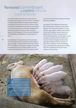 Accelerating research for development impact through partnerships
8
Renewedcommitment
to controlAfrican
swinefever
Since 2012, the BecA-ILRI Hub and a range of partners
supported by the Australian Government has: contributed
to a better understanding of the pig production systems
in East Africa and transmission patterns of African swine
fever (ASF) in smallholder farming systems; and proposed
a set of control measures for the disease. Building on the
research by the BecA-ILRI Hub and other consortia, a
regional control strategy for ASF has now been developed
and validated by key stakeholders in the pig industry in
Africa.
Key stakeholders in the pig industry from 15 countries in
Africa met in Burkina Faso in November 2015 to validate a
regional strategy on implementation plan for the control of
ASF. The strategy was developed by a taskforce comprising
the ILRI Biosciences team, the BecA-ILRI Hub, the Food
and Agriculture Organization of the United Nations (FAO)
The ASF diagnostics, surveillance,
epidemiology and control research is
funded by the Australian government and
implemented in partnership with Ministry of
Agriculture, Animal Industries and Fisheries,
Uganda; Ministry of Livestock Development,
Kenya; Centro de Investigación en
Sanidad Animal, (and FAO and EU ASF
Reference Centre) Madrid, Spain; and the
Commonwealth Scientific and Industrial
Research Organisation (CSIRO), Australia.
and African Union-InterAfrican Bureau for Animal
Resources (AU-IBAR).
Participants at the meeting were drawn from
Benin, Burkina Faso, Cameroon, Central African
Republic, Chad, Democratic Republic of Congo,
Ethiopia, Kenya, Malawi, Tanzania, Togo, Uganda,
Zambia and Zimbabwe; national, regional and
global research institutes including National
Animal Health Diagnostic and Investigation Center
in Ethiopia, Laboratoire National Veterinaire in
Cameroon, Institut Sénégalais de Recherches
Agricoles in Senegal, University of Pretoria in
South Africa, the Eastern Africa ASF Working
Group; and international organizations including
FAO, ILRI, AU-IBAR and the AU-Pan African
Veterinary Vaccine Centre.
 