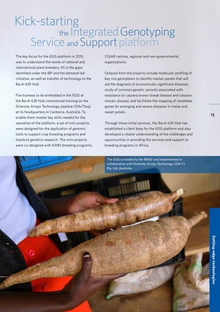 BecA-ILRI Hub 2015 Annual Report
13
Kick-starting
the IntegratedGenotyping
Service and Supportplatform
The key focus for the IGSS platform in 2015
was to understand the needs of national and
international plant breeders, fill in the gaps
identified under the IBP and the demand-led
initiative, as well as transfer of technology to the
BecA-ILRI Hub.
Five trainees to be embedded in the IGSS at
the BecA-ILRI Hub commenced training on the
Diversity Arrays Technology pipeline (DArTSeq)
at its headquarters in Canberra, Australia. To
enable them master key skills needed for the
operation of the platform, a set of mini projects
were designed for the application of genomic
tools to support crop breeding programs and
livestock genetics research. The mini-projects
were co-designed with NARS breeding programs,
The IGSS is funded by the BMGF and implemented in
collaboration with Diversity Arrays Technology (DArT)
Pty. Ltd, Australia.
CGIAR centres, regional and non-governmental
organizations.
Outputs from the projects include molecular profiling of
key rice germplasm to identify marker panels that will
aid the diagnosis of economically significant diseases;
study of common genetic variants associated with
resistance to cassava brown streak disease and cassava
mosaic disease; and faciliitate the mapping of candidate
genes for emerging and severe diseases in maize and
sweet potato.
Through these initial services, the BecA-ILRI Hub has
established a client base for the IGSS platform and also
developed a clearer understanding of the challenges and
opportunities in providing the services and support to
breeding programs in Africa.
Cutting-edgetechnologies
 