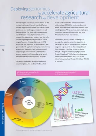 Accelerating research for development impact through partnerships
14
Deployinggenomics
to accelerateagricultural
researchfor development
Harnessing the sequencing power offered by the
next generation and the gold standard Sanger
sequencing platforms, the BecA-ILRI Hub is now
positioned as a leading genomic centre in sub-
Saharan Africa. The BecA-ILRI Hub genomics
capabilities are being deployed to support
research for development projects and also offer
sequencing and genotyping services to a wide
range of users in Africa and beyond. In 2015
alone, over 100 gigabytes of sequence data was
generated with applications ranging from diversity
assessment, diagnostics and improvement of
crops, forages and livestock, full and partial
genome sequencing (viruses, bacteria, fungi)
metagenomes and transcriptomes analyses.
The ability to generate terabytes of genome
sequencing data, has enabled the BecA-ILRI
Hub to contribute to key information on the
epidemiology of MLND in eastern and central
Africa; provide support for marker-assisted crop
breeding across Africa; and provide indepth gene
expression analysis of finger millet and other
African orphan crops and livestock.
Furthermore, NARS partners have begun to
leverage the superior genomics capacities at
the BecA-ILRI Hub to strengthen their research
programs e.g. research on the sweetpotato at
Gulu University (Uganda) funded by BMGF
through a Program for Emerging Agricultural
Research Leaders (PEARLs) grant, and cassava
research funded by BMGF and DFID at the
Mikocheni Agricultural Research Institute (MARI)
in Tanzania.
Genotyping services provided
on the genetic analyser
58799
DNA fragment analysis
(SSR based genotyping
of crops and livestock)
1348
Reactions of low
throughput sequencing
(Crop, livestock and
microorganism
21 Million16 Metagenomics
145 MillionTranscriptomics
100 MillionMolecular marker discovery
66 MillionMetagenomics
52 MillionViral discovery
gene regulation andexpression in ﬁnger millet,Theileria parva geneexpression,gene growth expression inchickens
preferred bean varieties,African lungﬁsh
pathogens discovery inpigs value chain
soil, rumen,microbial
diversity
discovery of RNAviruses in maize,yam, taro
TOTAL
384 MILLION
READS
left: Genomics data generated on the
Illumina MiSeq platform
right: Genotyping services provided
on the genetic analiser
Cutting-edgetechnologies
 