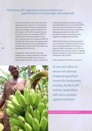 Accelerating research for development impact through partnerships
Partnering with Uganda to enhance bioscience
applications for inclusive agricultural growth
As part of its efforts to
remain well informed
of regional agricultural
research for development
priorities, the BecA-ILRI
Hub has signed MoUs
with various strategic
regional institutions.
As part of its efforts to remain well informed of
regional agricultural research for development
priorities, the BecA-ILRI Hub has signed MoUs
with various strategic regional institutions. An
MoU signed in 2014 with the Uganda National
Council for Science and Technology (UNCST)
enabled the six-month secondment of Julius
Ecuru, assistant executive secretary at UNCST to
the BecA-ILRI Hub as policy and strategy advisor.
During his secondment, Ecuru spearheaded the
development of the BecA-ILRI Hub Strategic and
Operational Plan 2015–2018.
In September, a high-level BecA-ILRI Hub–
Uganda country strategy symposium convened
by UNCST at their headquarters in Kampala
explored opportunities for regional collaboration
in bioscience research and capacity building.
During the deliberations on how Uganda NARS
actors can maximize opportunities available
at the BecA-ILRI Hub, the director Appolinaire
Djikeng emphasized that the BecA-ILRI
Hub should be seen as an extension of the
capabilities available within the NARS.
UNCST board chairperson Theresa Sengooba,
who is a member of the BecA-ILRI Hub advisory
panel, commended the BecA-ILRI Hub for its
support to NARS in the region. As of 2015, the
BecA-ILRI Hub has provided support to Ugandan
agricultural research institutions and universities
totalling over USD 725,000.
At the September BecA-UNCST symposium,
Ugandan banana farmer prepares produce for export
22
 