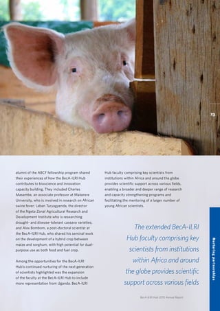 BecA-ILRI Hub 2015 Annual Report
The extended BecA-ILRI
Hub faculty comprising key
scientists from institutions
within Africa and around
the globe provides scientific
support across various fields
alumni of the ABCF fellowship program shared
their experiences of how the BecA-ILRI Hub
contributes to bioscience and innovation
capacity building. They included Charles
Masembe, an associate professor at Makerere
University, who is involved in research on African
swine fever; Laban Turyagyenda, the director
of the Ngeta Zonal Agricultural Research and
Development Institute who is researching
drought- and disease-tolerant cassava varieties;
and Alex Bombom, a post-doctoral scientist at
the BecA-ILRI Hub, who shared his seminal work
on the development of a hybrid crop between
maize and sorghum, with high potential for dual-
purpose use as both food and fuel crop.
Among the opportunities for the BecA-ILRI
Hub’s continued nurturing of the next generation
of scientists highlighted was the expansion
of the faculty at the BecA-ILRI Hub to include
more representation from Uganda. BecA-ILRI
Hub faculty comprising key scientists from
institutions within Africa and around the globe
provides scientific support across various fields,
enabling a broader and deeper range of research
and capacity strengthening programs and
facilitating the mentoring of a larger number of
young African scientists.
23
Nurturingpartnerships
 