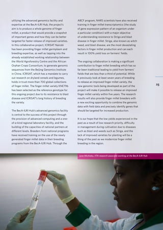 BecA-ILRI Hub 2015 Annual Report
25
utilizing the advanced genomics facility and
expertise at the BecA-ILRI Hub, the project’s
aim is to produce a whole genome of finger
millet, a product that would provide a snapshot
of important genes and how they can be better
targeted for faster release of improved varieties.
In this collaborative project, ICRISAT Nairobi
has been providing finger millet germplasm and
breeding expertise, as well as tapping into the
already established working relationship between
the World Agroforestry Centre and the African
Orphan Crops Consortium, to generate genomic
sequences from the Beijing Genomics Institute
in China. ICRISAT, which has a mandate to carry
out research on dryland cereals and legumes,
holds in trust more than 700 global collections
of finger millet. The finger millet variety KNE796
has been selected as the reference genotype for
this ongoing project due to its resistance to blast
disease and ICRISAT’s long history of breeding
the variety.
The BecA-ILRI Hub’s advanced genomics facility
is central to the success of this project through
the provision of advanced computing and a one-
of-a-kind regional laboratory facility, and the
building of the capacities of national partners at
different levels. Breeders from national programs
have received training on the use of the newly
generated finger millet data in their breeding
programs from the BecA-ILRI Hub. Through the
ABCF program, NARS scientists have also received
training in finger millet transcriptomics (the study
of gene expression pattern of an organism under
a particular condition) with a major objective
of understanding resistance to Striga and blast
disease in finger millet. Striga, also known as witch
weed, and blast disease, are the most devastating
factors in finger millet production and can each
result in 100% yield loss on farmers’ fields.
The ongoing collaboration is making a significant
contribution to finger millet breeding which has so
far been traditional leading to yield from farmers’
fields that are less than a third of potential. While
it previously took at least seven years of breeding
to release an improved finger millet variety, the
new genomic tools being developed as part of the
project will make it possible to release an improved
finger millet variety within five years. The research
results will also provide finger millet breeders with
a new exciting opportunity to combine the genomic
data with field data and precisely identify genes that
should be targeted for increased production.
It is our hope that the low yields experienced in the
past as a result of low research priority, difficulty
in management during cultivation due to diseases
such as blast and weeds such as Striga, and the
lack of improved varieties for planting will be a
thing of the past as we modernize finger millet
breeding in the region.
June Michieka, IITA research associate working at the BecA-ILRI Hub
 