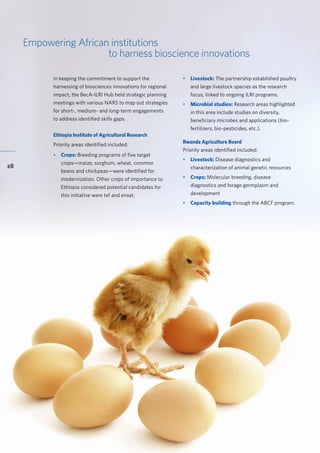 Accelerating research for development impact through partnerships
28
Empowering African institutions
to harness bioscience innovations
In keeping the commitment to support the
harnessing of biosciences innovations for regional
impact, the BecA-ILRI Hub held strategic planning
meetings with various NARS to map out strategies
for short-, medium- and long-term engagements
to address identified skills gaps.
Ethiopia Institute of Agricultural Research
Priority areas identified included:
•	 Crops: Breeding programs of five target
crops—maize, sorghum, wheat, common
beans and chickpeas—were identified for
modernization. Other crops of importance to
Ethiopia considered potential candidates for
this initiative were tef and enset.
•	 Livestock: The partnership established poultry
and large livestock species as the research
focus, linked to ongoing ILRI programs.
•	 Microbial studies: Research areas highlighted
in this area include studies on diversity,
beneficiary microbes and applications (bio-
fertilizers, bio-pesticides, etc.).
Rwanda Agriculture Board
Priority areas identified included:
•	 Livestock: Disease diagnostics and
characterization of animal genetic resources
•	 Crops: Molecular breeding, disease
diagnostics and forage germplasm and
development
• 	 Capacity building through the ABCF program.
 