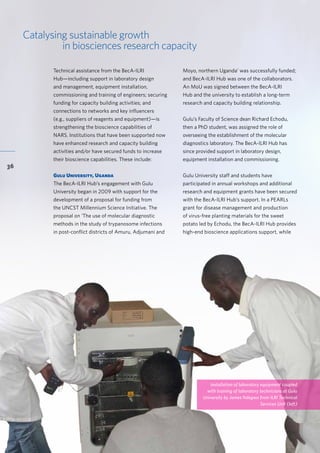 Accelerating research for development impact through partnerships
36
Catalysing sustainable growth
in biosciences research capacity
Moyo, northern Uganda’ was successfully funded;
and BecA-ILRI Hub was one of the collaborators.
An MoU was signed between the BecA-ILRI
Hub and the university to establish a long-term
research and capacity building relationship.
Gulu’s Faculty of Science dean Richard Echodu,
then a PhD student, was assigned the role of
overseeing the establishment of the molecular
diagnostics laboratory. The BecA-ILRI Hub has
since provided support in laboratory design,
equipment installation and commissioning.
Gulu University staff and students have
participated in annual workshops and additional
research and equipment grants have been secured
with the BecA-ILRI Hub’s support. In a PEARLs
grant for disease management and production
of virus-free planting materials for the sweet
potato led by Echodu, the BecA-ILRI Hub provides
high-end bioscience applications support, while
Technical assistance from the BecA-ILRI
Hub—including support in laboratory design
and management, equipment installation,
commissioning and training of engineers; securing
funding for capacity building activities; and
connections to networks and key influencers
(e.g., suppliers of reagents and equipment)—is
strengthening the bioscience capabilities of
NARS. Institutions that have been supported now
have enhanced research and capacity building
activities and/or have secured funds to increase
their bioscience capabilities. These include:
Gulu University, Uganda
The BecA-ILRI Hub’s engagement with Gulu
University began in 2009 with support for the
development of a proposal for funding from
the UNCST Millennium Science Initiative. The
proposal on ‘The use of molecular diagnostic
methods in the study of trypanosome infections
in post-conflict districts of Amuru, Adjumani and
Installation of laboratory equipment coupled
with training of laboratory technicians at Gulu
University by James Ndegwa from ILRI Technical
Services Unit (left)
 