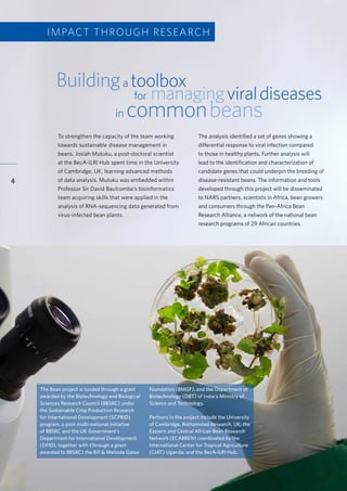 Accelerating research for development impact through partnerships
4
Impactthroughresearch
Buildinga toolbox
for managingviraldiseases
in commonbeans
To strengthen the capacity of the team working
towards sustainable disease management in
beans, Josiah Mutuku, a post-doctoral scientist
at the BecA-ILRI Hub spent time in the University
of Cambridge, UK, learning advanced methods
of data analysis. Mutuku was embedded within
Professor Sir David Baulcombe’s bioinformatics
team acquiring skills that were applied in the
analysis of RNA-sequencing data generated from
virus-infected bean plants.
	
IMPACT THROUGH RESEARCH
The Bean project is funded through a grant
awarded by the Biotechnology and Biological
Sciences Research Council (BBSRC) under
the Sustainable Crop Production Research
for International Development (SCPRID)
program, a joint multi-national initiative
of BBSRC and the UK Government’s
Department for International Development
(DFID), together with (through a grant
awarded to BBSRC) the Bill & Melinda Gates
Foundation (BMGF), and the Department of
Biotechnology (DBT) of India’s Ministry of
Science and Technology.
Partners in the project include the University
of Cambridge, Rothamsted Research, UK; the
Eastern and Central African Bean Research
Network (ECABREN) coordinated by the
International Center for Tropical Agriculture
(CIAT) Uganda; and the BecA-ILRI Hub.
The analysis identified a set of genes showing a
differential response to viral infection compared
to those in healthy plants. Further analysis will
lead to the identification and characterization of
candidate genes that could underpin the breeding of
disease-resistant beans. The information and tools
developed through this project will be disseminated
to NARS partners, scientists in Africa, bean growers
and consumers through the Pan-Africa Bean
Research Alliance, a network of the national bean
research programs of 29 African countries.
 