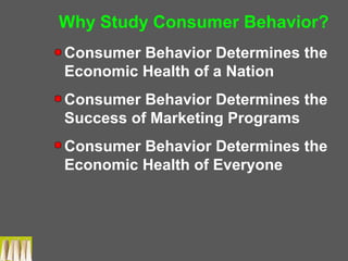 Why Study Consumer Behavior?
Consumer Behavior Determines the
Economic Health of a Nation
Consumer Behavior Determines the
Success of Marketing Programs
Consumer Behavior Determines the
Economic Health of Everyone
 