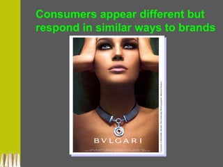 Consumers appear different but
respond in similar ways to brands
 