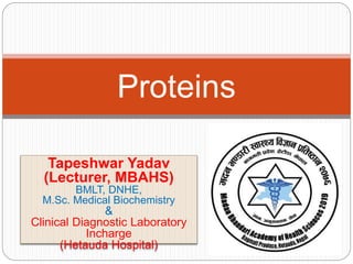 Tapeshwar Yadav
(Lecturer, MBAHS)
BMLT, DNHE,
M.Sc. Medical Biochemistry
&
Clinical Diagnostic Laboratory
Incharge
(Hetauda Hospital)
Proteins
 