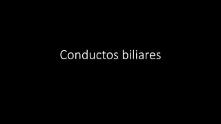 Conductos biliares
 