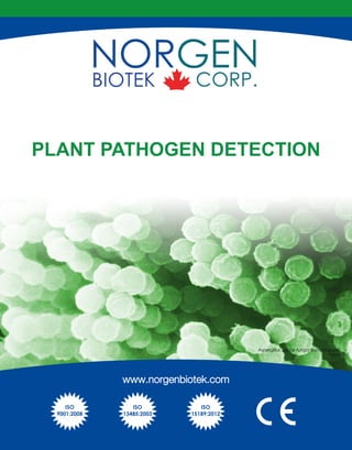 PLANT PATHOGEN DETECTION
Aspergillus specie fungal conidiospores
Page 4
www.norgenbiotek.com
ISO
9001:2008
ISO
13485:2003
ISO
15189:2012
 