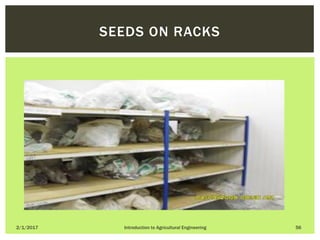 2/1/2017 Introduction to Agricultural Engineering 56
SEEDS ON RACKS
 