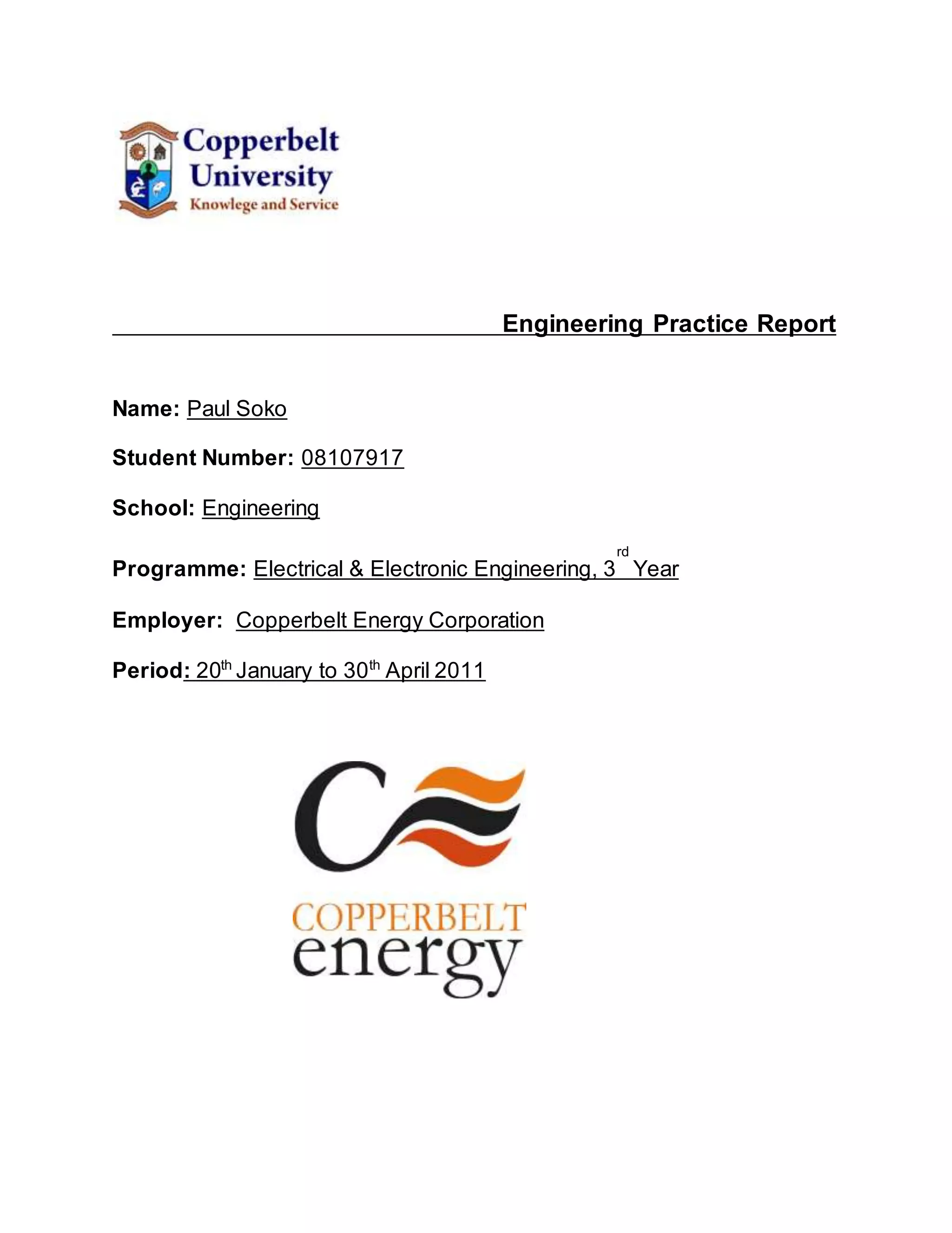 Engineering Practice Report | DOCX | Power and Energy Industry | Industries