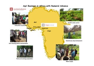 Agri Business in Africa with Numeral Advance
Ivory Coast
CongoGuinea
Senegal
Mali
Cameroon
Instruction & practices
Growth under control
Greenhouse step development
Soil checking before mechanisation
Field surroundings preparation
Water supply
 