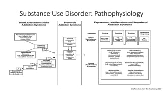 Substance Use Disorder: Pathophysiology
Shaffer et al., Harv Rev Psychiatry, 2004
 