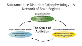 Substance Use Disorder: Pathophysiology – A
Network of Brain Regions
 