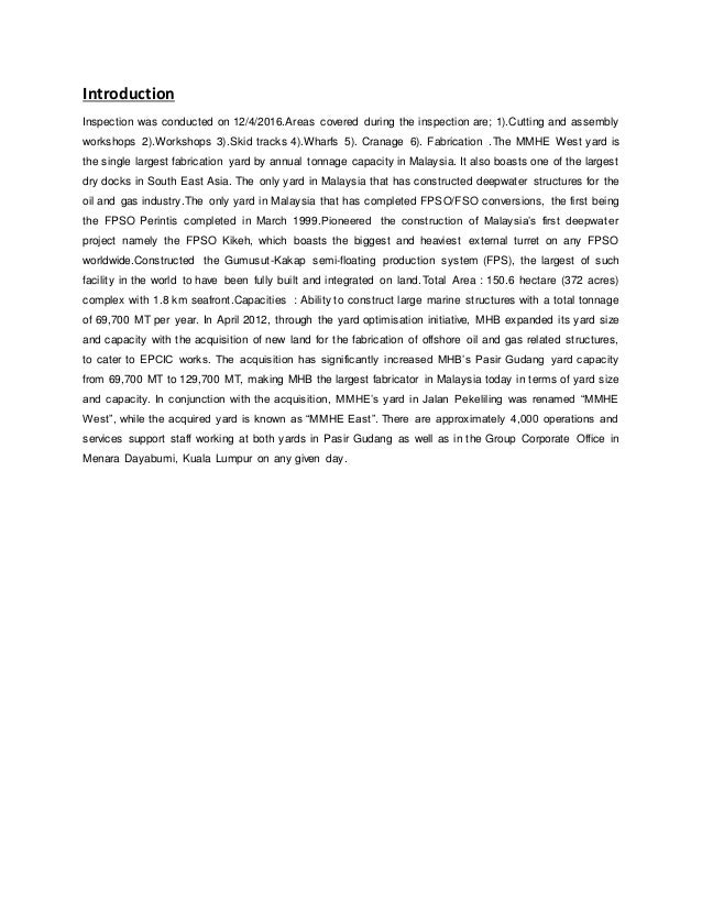 resume summary example executive 1 Introduction