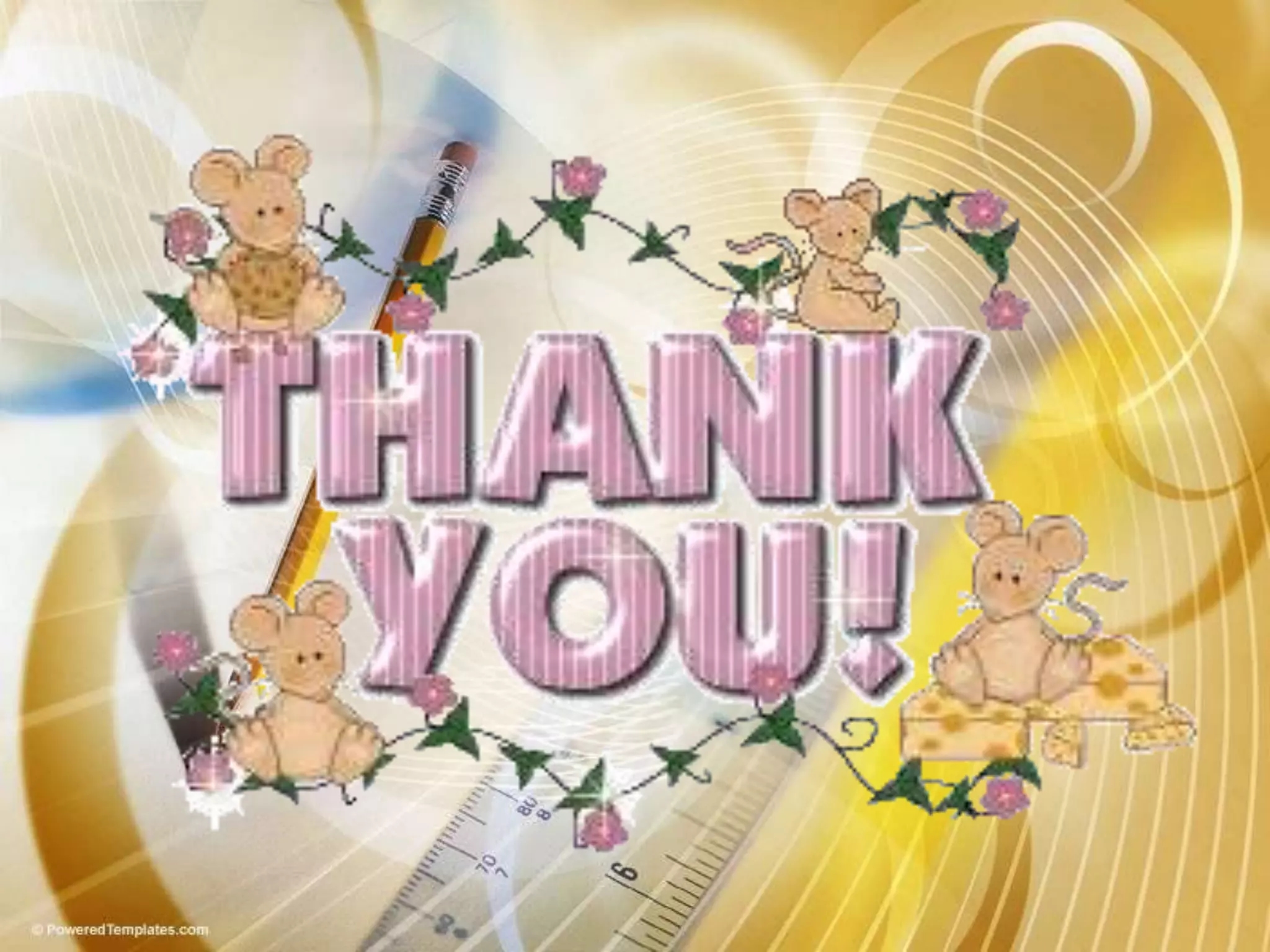 School Monitoring and Evaluation Framework 