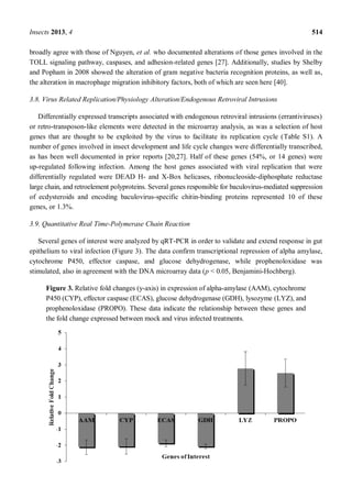 Insects 2013, 4 514
broadly agree with those of Nguyen, et al. who documented alterations of those genes involved in the
TOLL signaling pathway, caspases, and adhesion-related genes [27]. Additionally, studies by Shelby
and Popham in 2008 showed the alteration of gram negative bacteria recognition proteins, as well as,
the alteration in macrophage migration inhibitory factors, both of which are seen here [40].
3.8. Virus Related Replication/Physiology Alteration/Endogenous Retroviral Intrusions
Differentially expressed transcripts associated with endogenous retroviral intrusions (errantiviruses)
or retro-transposon-like elements were detected in the microarray analysis, as was a selection of host
genes that are thought to be exploited by the virus to facilitate its replication cycle (Table S1). A
number of genes involved in insect development and life cycle changes were differentially transcribed,
as has been well documented in prior reports [20,27]. Half of these genes (54%, or 14 genes) were
up-regulated following infection. Among the host genes associated with viral replication that were
differentially regulated were DEAD H- and X-Box helicases, ribonucleoside-diphosphate reductase
large chain, and retroelement polyproteins. Several genes responsible for baculovirus-mediated suppression
of ecdysteroids and encoding baculovirus-specific chitin-binding proteins represented 10 of these
genes, or 1.3%.
3.9. Quantitative Real Time-Polymerase Chain Reaction
Several genes of interest were analyzed by qRT-PCR in order to validate and extend response in gut
epithelium to viral infection (Figure 3). The data confirm transcriptional repression of alpha amylase,
cytochrome P450, effector caspase, and glucose dehydrogenase, while prophenoloxidase was
stimulated, also in agreement with the DNA microarray data (p < 0.05, Benjamini-Hochberg).
Figure 3. Relative fold changes (y-axis) in expression of alpha-amylase (AAM), cytochrome
P450 (CYP), effector caspase (ECAS), glucose dehydrogenase (GDH), lysozyme (LYZ), and
prophenoloxidase (PROPO). These data indicate the relationship between these genes and
the fold change expressed between mock and virus infected treatments.
 