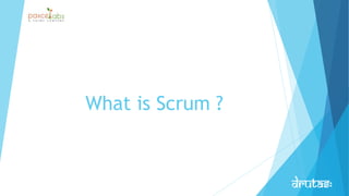 What is Scrum ?
 