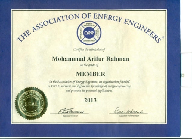 CERTIFIED ENERGY AUDITOR