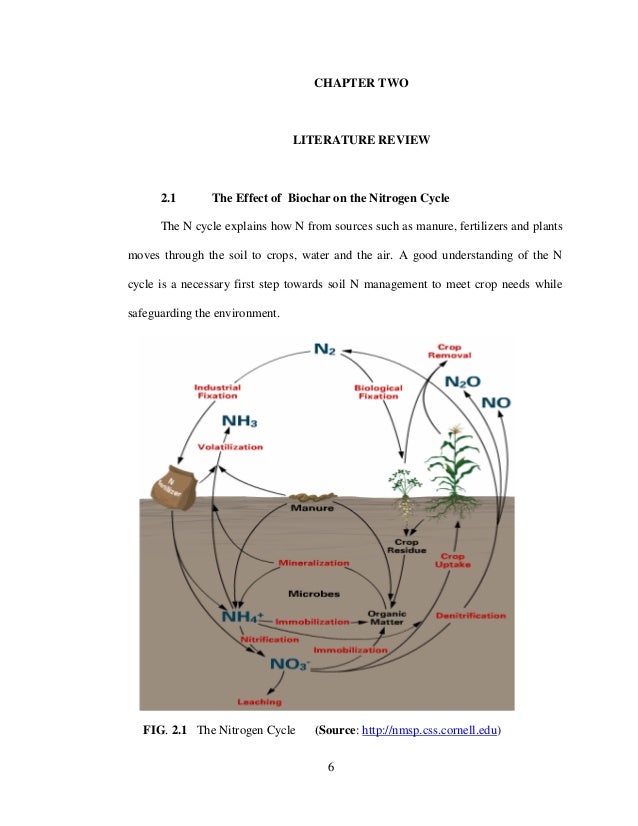 Bsc dissertation