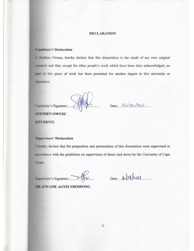 Dissertation bsc