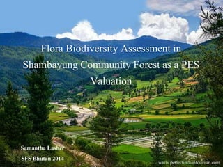 Flora Biodiversity Assessment in
Shambayung Community Forest as a PES
Valuation
Samantha Lasher
SFS Bhutan 2014 www.perfectindiantourism.com
 