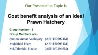 Our Presentation Topic is
Cost benefit analysis of an ideal
Prawn Hatchery
Group Number-15
Group Members are-
Sumon kumar Audhikary (ASH1502024M)
Mujahidul Islam (ASH1502034M)
Md.Tahmidul Haque (ASH1502045M)
 