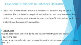 Cost Benefit analysis in Hatchery Operation
 Calculation of cost-benefit analysis is an important aspect of any hatchery
operation. The cost benefit analysis of an ideal prawn Hatchery‟ was done. The
capital cost, operating cost, revenue income, cost-benefit ratio and net profit were
analyzed based on prawn PL production.
 Capital cost
A capital cost means the costs during the hatchery construction and set up.
 Operating cost
The operating cost refers to costs involved to run the hatchery operation e.g. labour,
feed, etc.
 